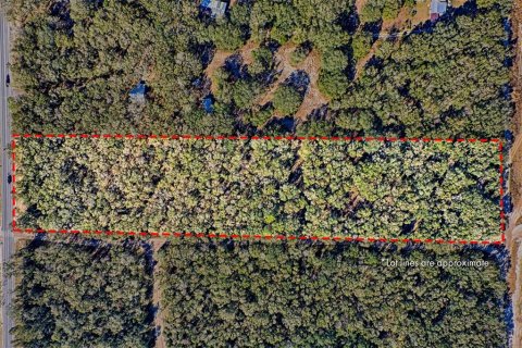 Land in Bell, Florida № 1558929 - photo 3