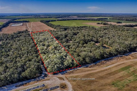 Land in Bell, Florida № 1558929 - photo 12