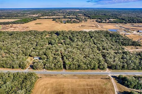 Land in Bell, Florida № 1558929 - photo 16