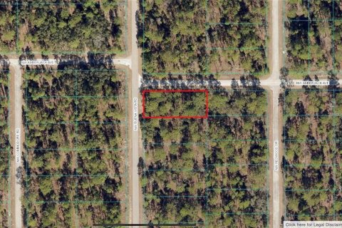 Land in Dunnellon, Florida № 2228352 - photo 2