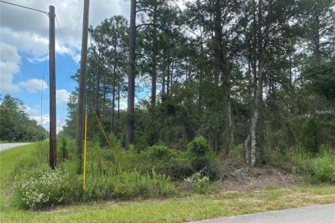 Land in Dunnellon, Florida № 2228352