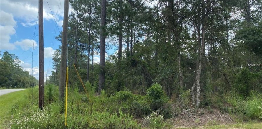 Land in Dunnellon, Florida № 2228352