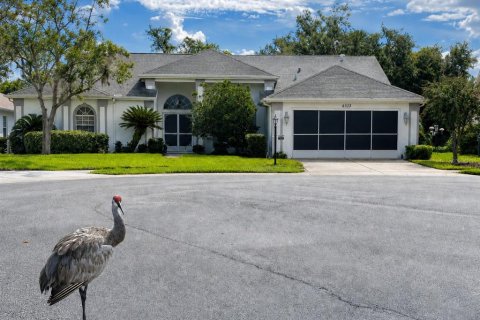 House in New Port Richey, Florida 3 bedrooms, 187.2 sq.m. № 2325017