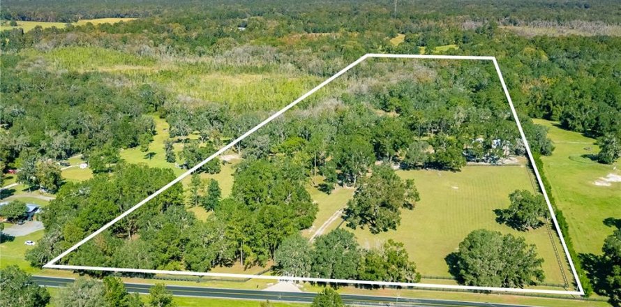 Terrain à Micanopy, Floride № 1411139