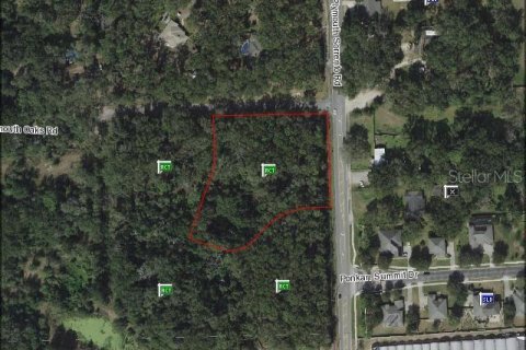 Terreno en venta en Apopka, Florida № 214456 - foto 7