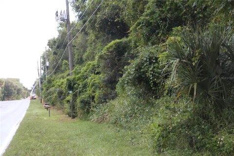 Terreno en venta en Apopka, Florida № 214456 - foto 4