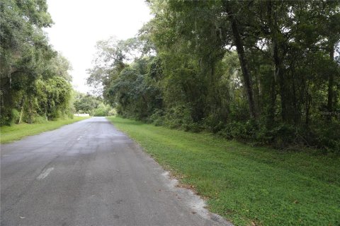 Terreno en venta en Apopka, Florida № 214456 - foto 10
