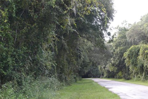 Terreno en venta en Apopka, Florida № 214456 - foto 6