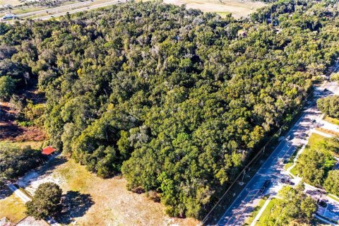 Terreno en venta en Apopka, Florida № 214456 - foto 9