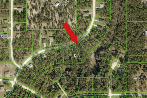 Land in Weeki Wachee, Florida № 2159556 - photo 2