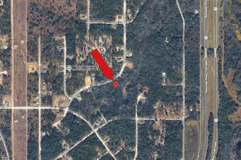 Land in Weeki Wachee, Florida № 2159556 - photo 3