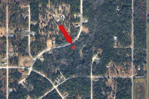 Land in Weeki Wachee, Florida № 2159556 - photo 4