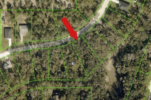 Land in Weeki Wachee, Florida № 2159556