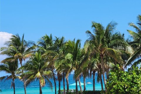 Condo in Hollywood, Florida, 1 bedroom  № 2023355