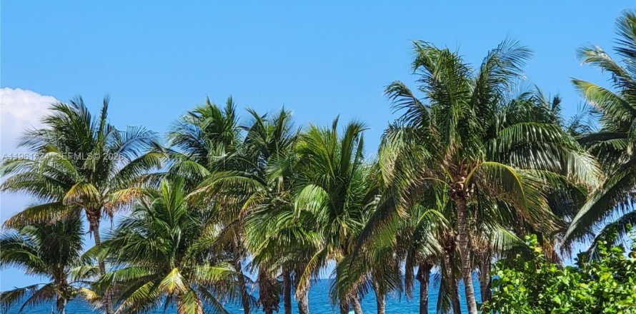 Кондоминиум с 1 спальней в Холливуд, Флорида № 2023355