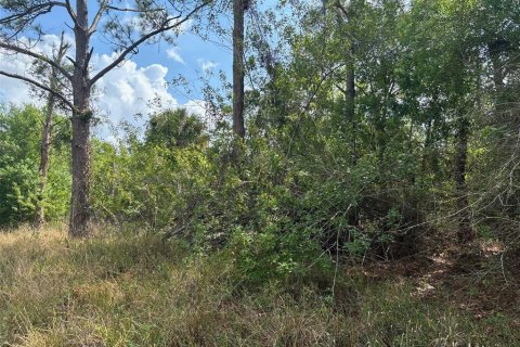 Terrain à vendre à Clewiston, Floride № 1847835 - photo 4