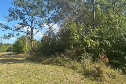 Terrain à vendre à Clewiston, Floride № 1847835 - photo 3
