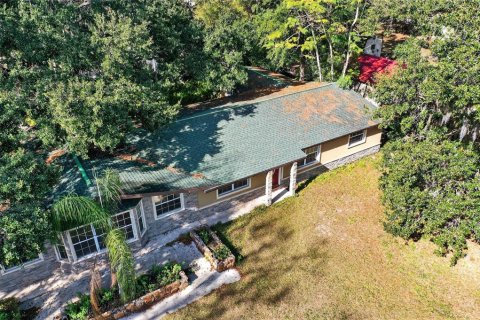 House in Lutz, Florida 6 bedrooms, 353.77 sq.m. № 2098224 - photo 2