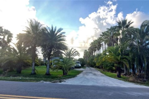 Commercial property in Okeechobee, Florida № 2248478 - photo 11