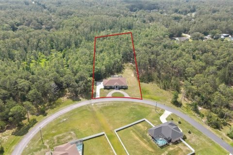 House in Wesley Chapel, Florida 4 bedrooms, 268.02 sq.m. № 1744184 - photo 2