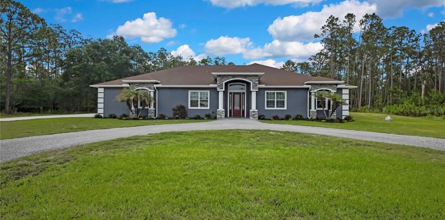 House in Wesley Chapel, Florida 4 bedrooms, 268.02 sq.m. № 1744184