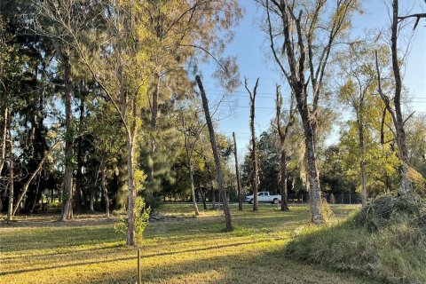 Land in Lutz, Florida № 1910389 - photo 4