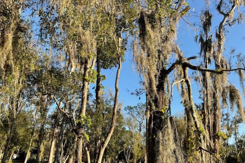Land in Lutz, Florida № 1910389 - photo 2