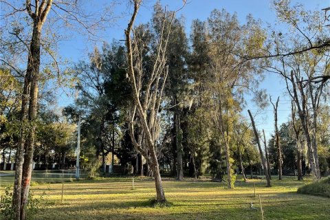 Land in Lutz, Florida № 1910389 - photo 6