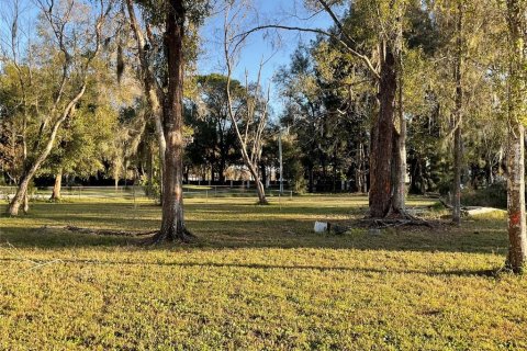 Land in Lutz, Florida № 1910389 - photo 8