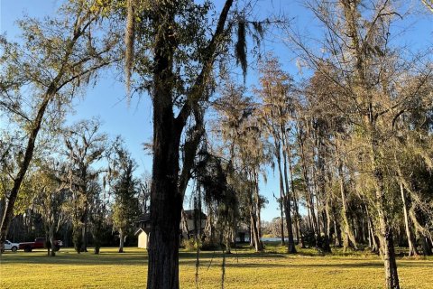 Land in Lutz, Florida № 1910389 - photo 1