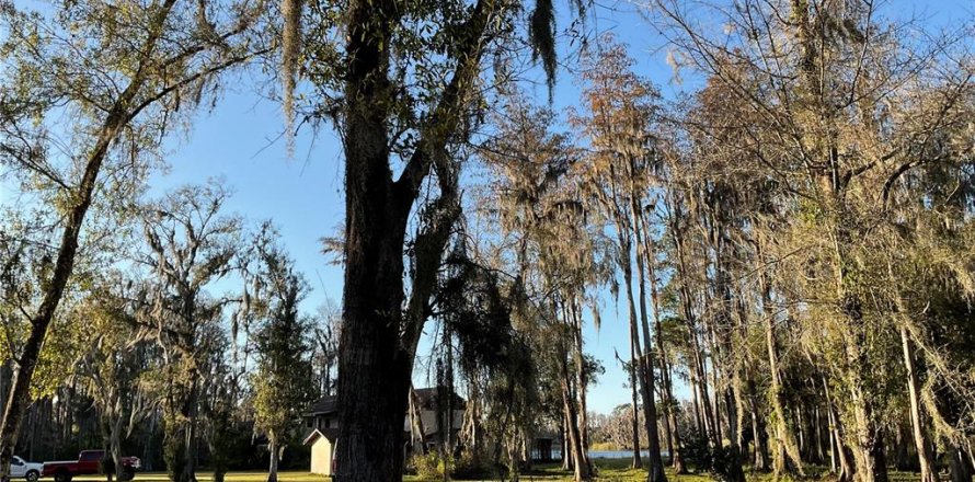 Land in Lutz, Florida № 1910389