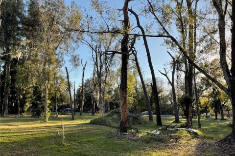 Land in Lutz, Florida № 1910389 - photo 5