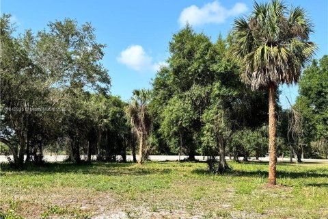 Terreno en venta en LaBelle, Florida № 1836739 - foto 5