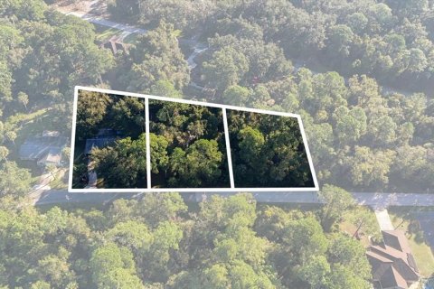 Villa ou maison à vendre à Crystal River, Floride: 3 chambres, 134.52 m2 № 2416836 - photo 2