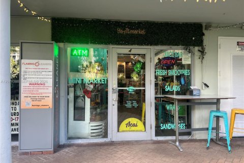 Condominio en alquiler en Miami Beach, Florida, 42.83 m2 № 2339925 - foto 15
