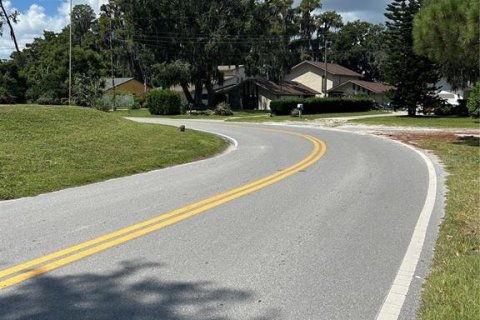 Land in New Port Richey, Florida № 1900212 - photo 5