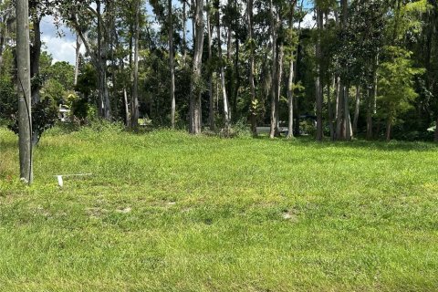 Land in New Port Richey, Florida № 1900212 - photo 2