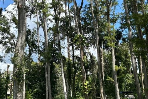 Land in New Port Richey, Florida № 1900212 - photo 3