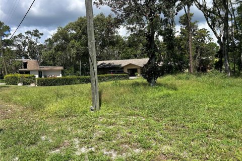 Land in New Port Richey, Florida № 1900212 - photo 4