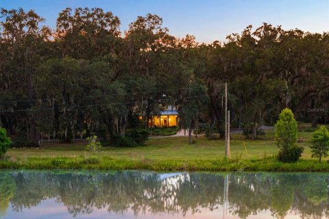 Villa ou maison à vendre à Wesley Chapel, Floride: 5 chambres, 430.6 m2 № 2225276 - photo 12