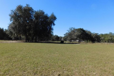 House in Fort MC Coy, Florida 6 bedrooms, 263.84 sq.m. № 1547086 - photo 1