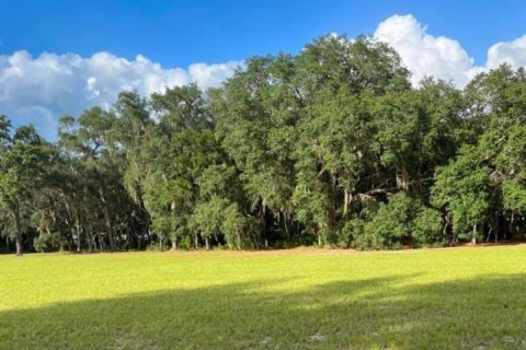 House in Fort MC Coy, Florida 6 bedrooms, 263.84 sq.m. № 1547086 - photo 24