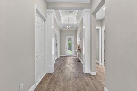 House in Brandon, Florida 5 bedrooms, 437.48 sq.m. № 2095675 - photo 8