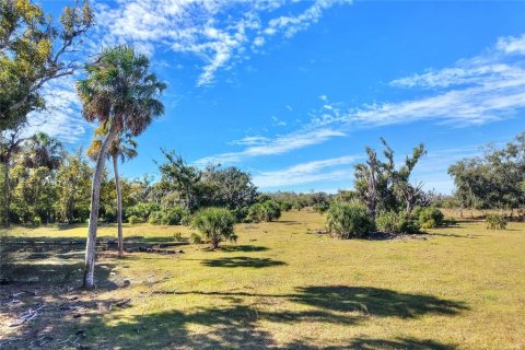 Land in Wimauma, Florida № 2128270 - photo 2