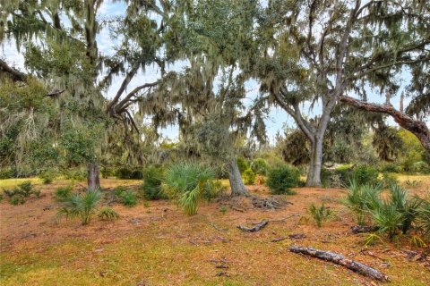 Land in Wimauma, Florida № 2128270 - photo 5