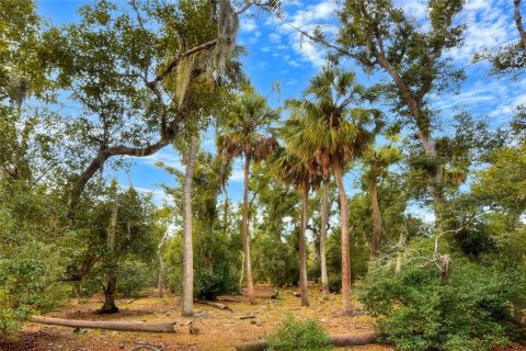 Land in Wimauma, Florida № 2128270 - photo 6