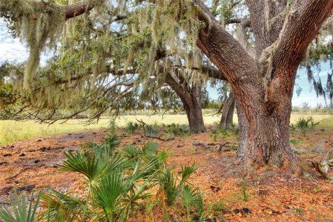Land in Wimauma, Florida № 2128270 - photo 3