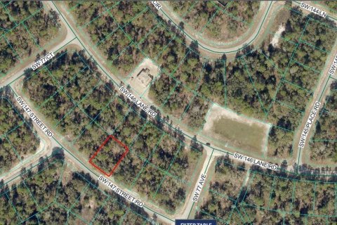 Terreno en venta en Ocala, Florida № 2165878 - foto 2