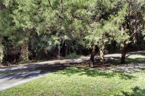Terreno en DeBary, Florida № 2223608