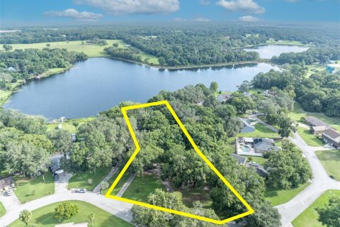 House in Zellwood, Florida 7 bedrooms, 464.51 sq.m. № 1903870 - photo 3